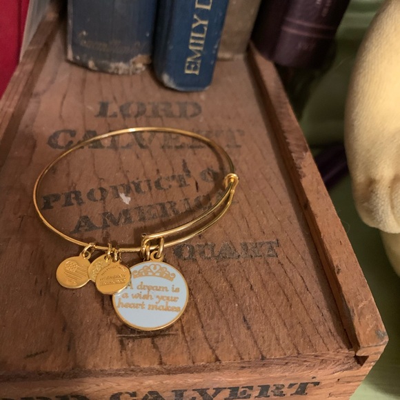 Alex and Ani Disney Bracelet - Picture 2 of 6